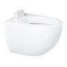 WC-porcelæn